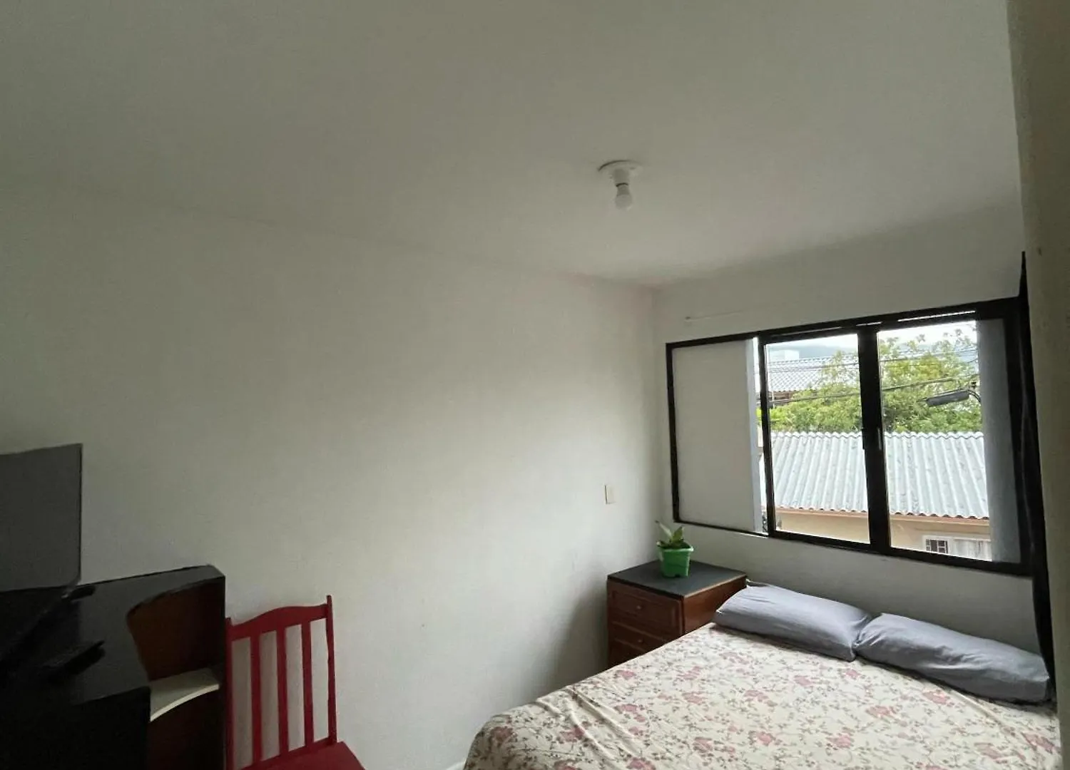 Flora E Fauna Hostel Florianópolis Brasil